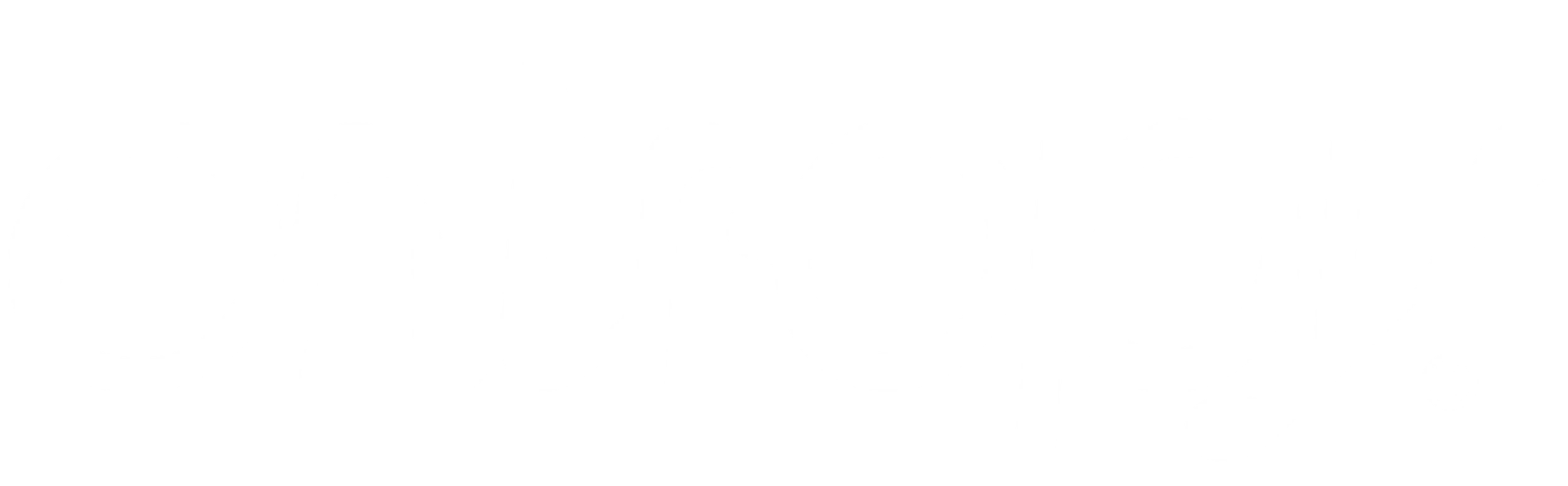 Entropy Logo